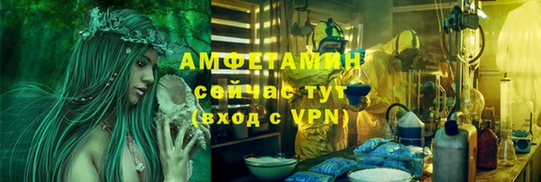 сатива Володарск