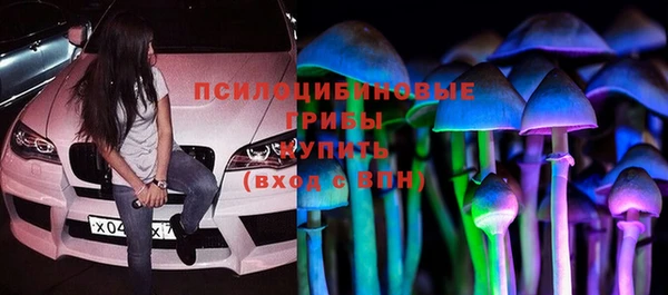 прущие крисы Богданович