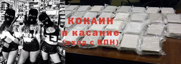 прущие грибы Няндома